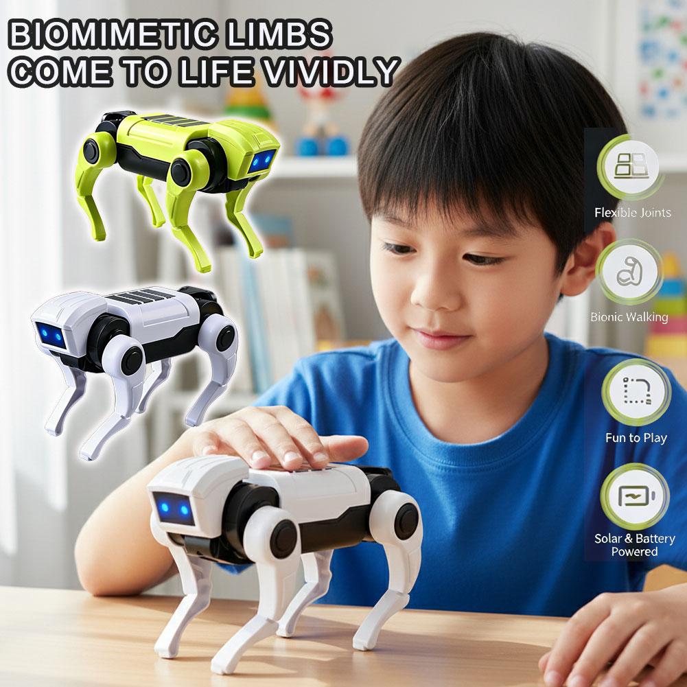 DIY Assembly RC Robot Dog Toy  - Science Robot recension och pris