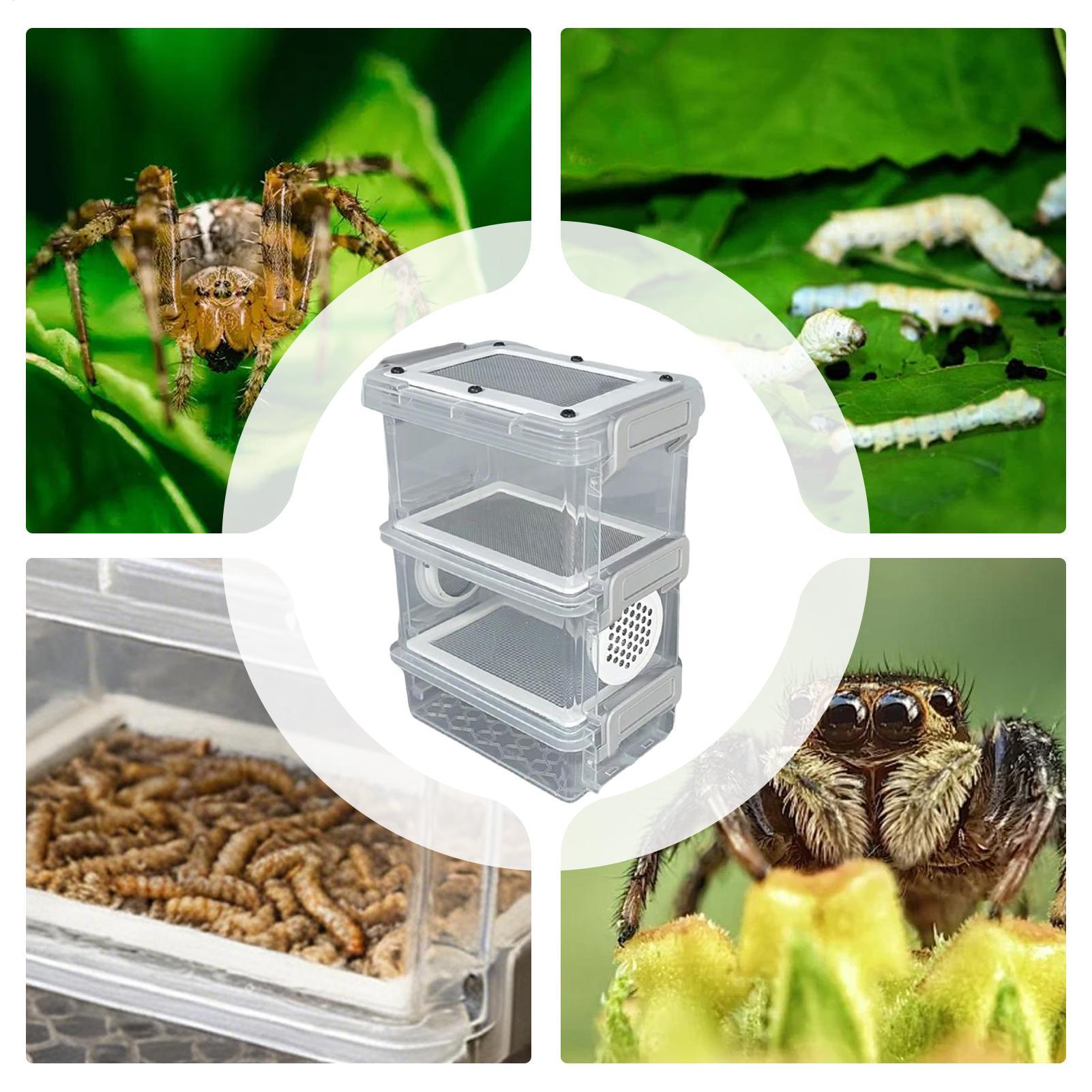 Mealworm Breeding Kit 3-Layer  - Science Hobbyist recension och pris